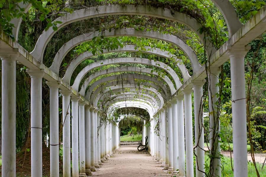 Rio de Janeiro: Botanical Garden & Tijuca Forest Guided Tour - What to pack for the forest and garden