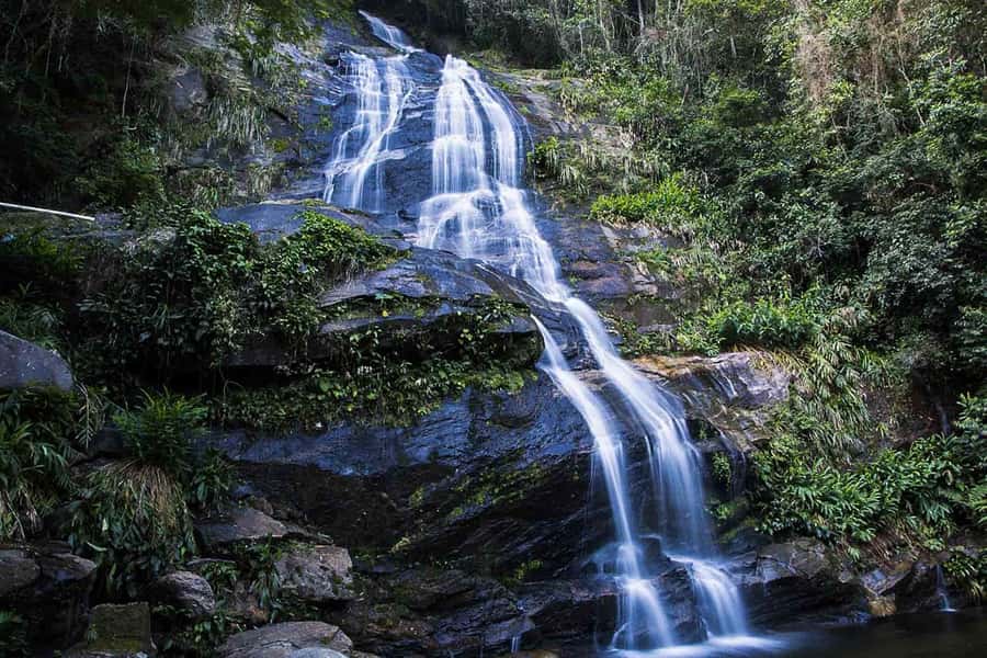 Rio de Janeiro: Botanical Garden & Tijuca Forest Guided Tour - Waterfalls, short trails, and useful photo stops