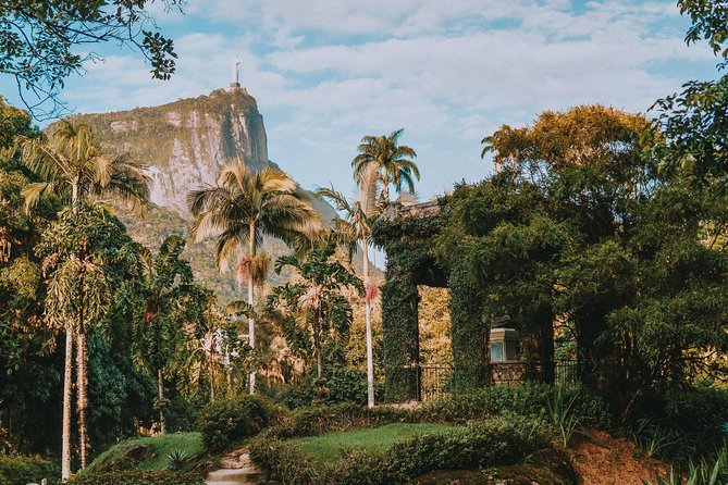 Rio de Janeiro Botanical Garden & Tijuca Forest Tour - One hour among palms, flowers, and Brazilian plants