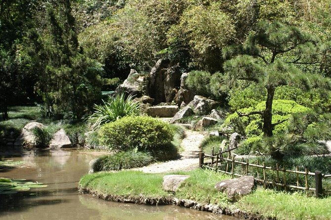 Rio de Janeiro Botanical Garden Tour - Why this garden belongs on a Rio itinerary