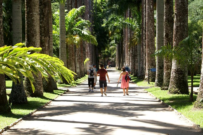 Rio de Janeiro Botanical Garden Tour - Who will enjoy this three-and-a-half-hour outing?