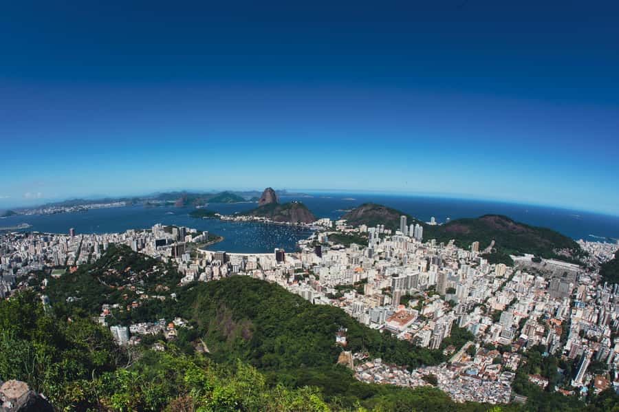 Rio de Janeiro: Christ the Redeemer, Sugarloaf, & City-tour - Tijuca Forest and the climb to Christ the Redeemer