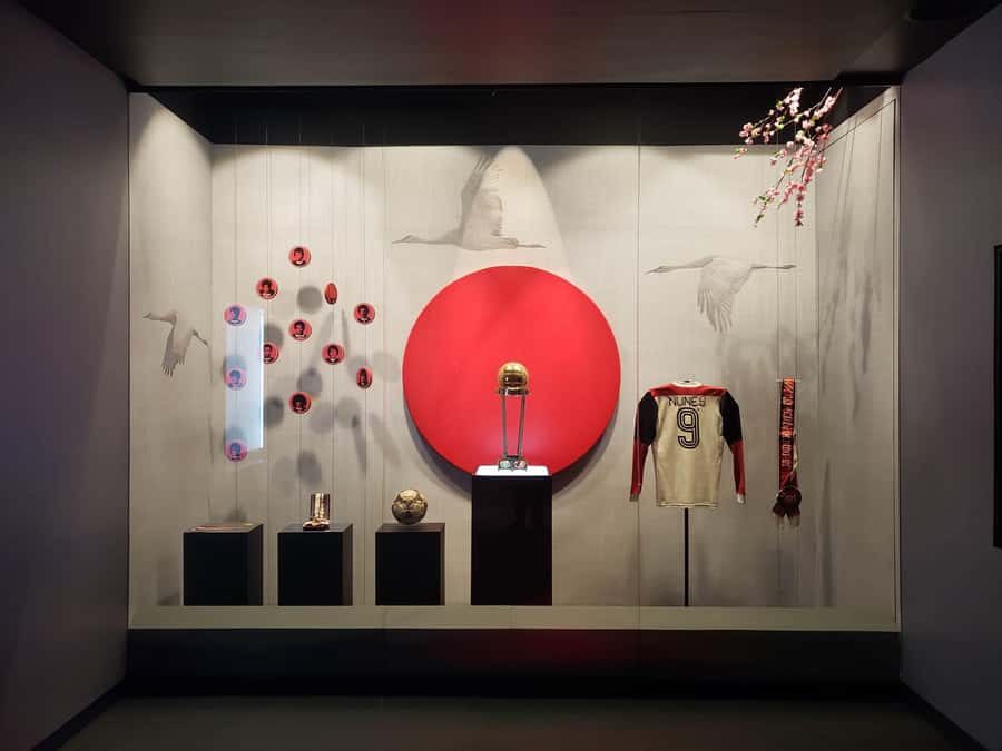 Rio de Janeiro: Flamengo Museum Ticket Entrance - Simple Tips for a Better Visit