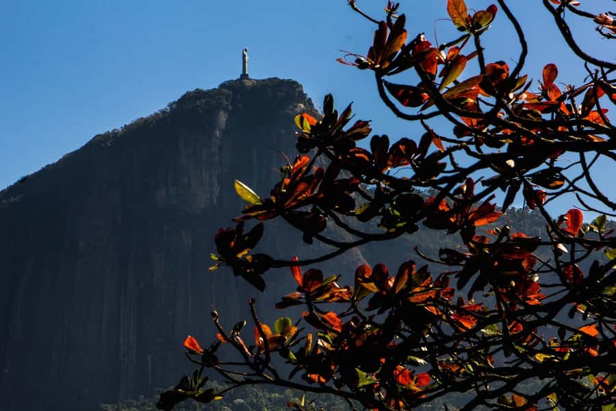 Rio de Janeiro: Guided Bike Tours in Small Groups - The 3-hour Urban Tour: Copacabana, Vermelha Beach, Botafogo, and Lagoa