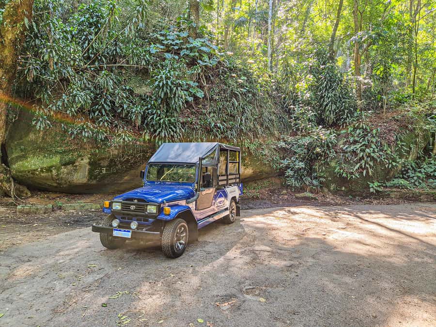 Rio de Janeiro: Guided Jeep Tour through Tijuca Rainforest - The forest walk is easy, but ask about the timing