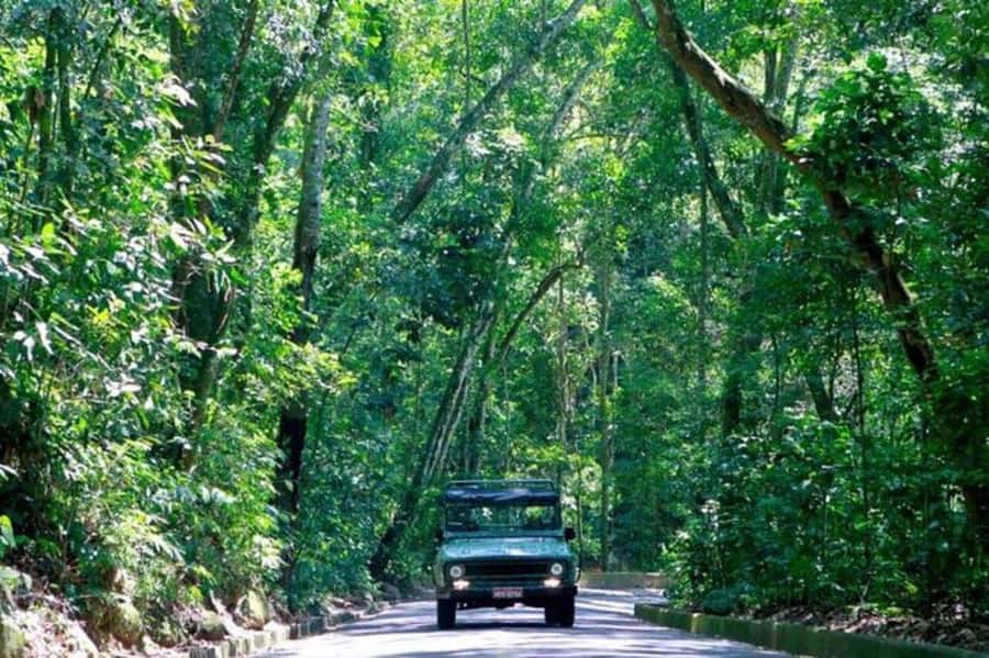 Rio de Janeiro: Jeep Tour Christ the Redeemer + Sugar Loaf - Key points to know before booking