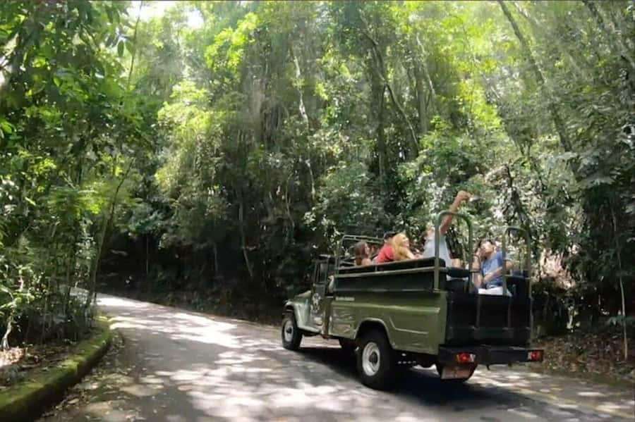 Rio de Janeiro: Jeep Tour Christ the Redeemer + Sugar Loaf - What to bring and what to leave behind