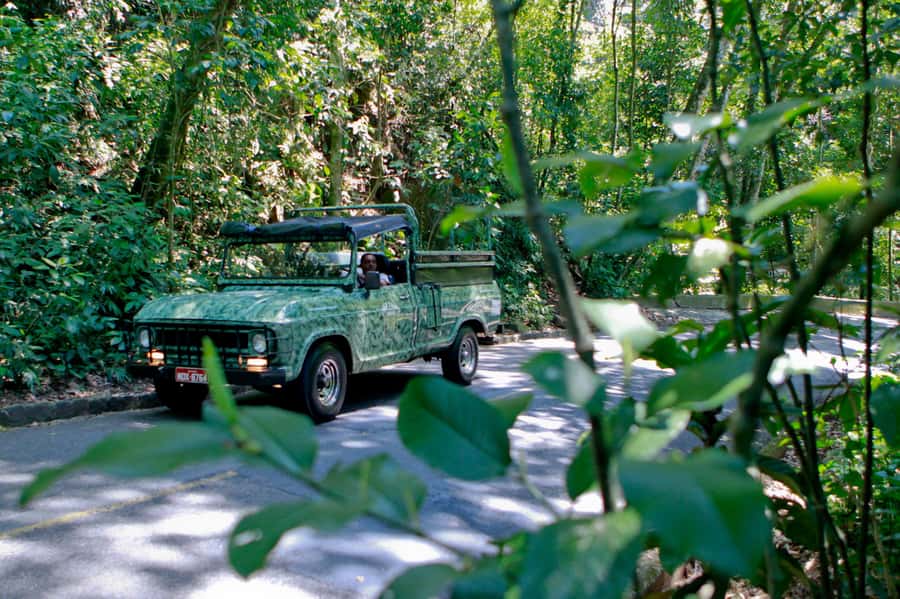 Rio de Janeiro: Jeep Tour in the Tijuca Forest - Why Tijuca Forest makes a smart half-day outing
