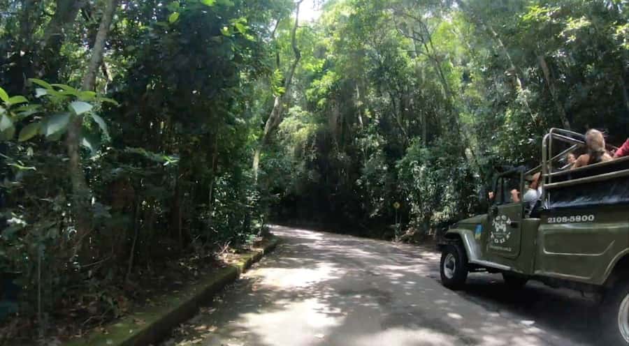Rio de Janeiro: Jeep Tour in the Tijuca Forest - Is $82 a fair price for four hours?