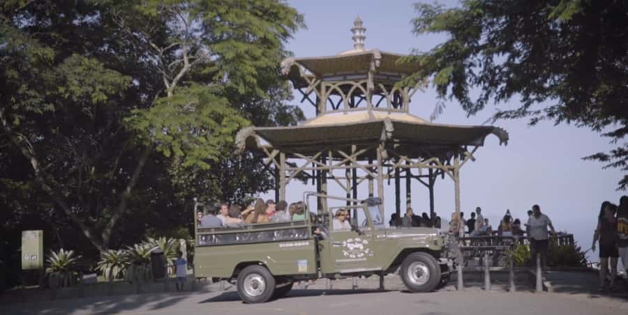 Rio de Janeiro: Jeep Tour in the Tijuca Forest - Wildlife: enjoy the search, not a guarantee