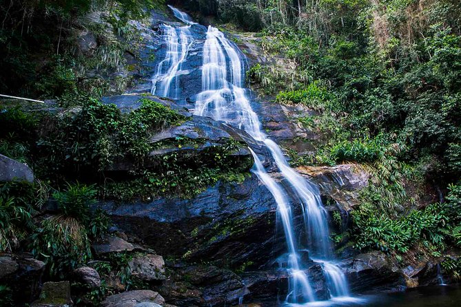 Rio de Janeiro Jeep Tour : Tijuca Forest - A short walk to Cachoeira dos Macacos