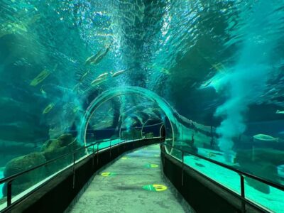 Marine Aquarium Entry Tickets