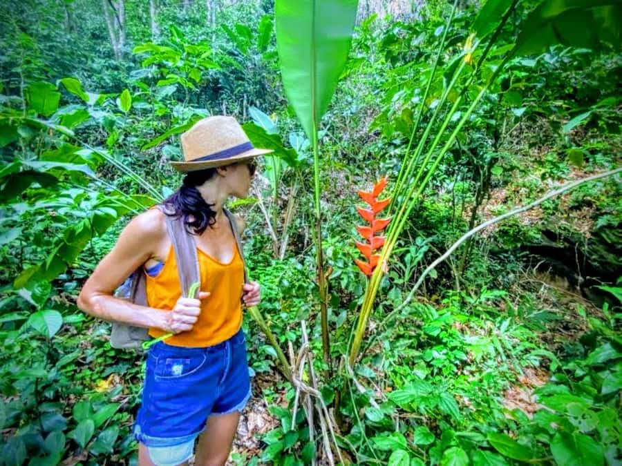 Rio de Janeiro Nature Secrets 'The Eco Citytour' - Roncador Outlook closes the coastal circuit