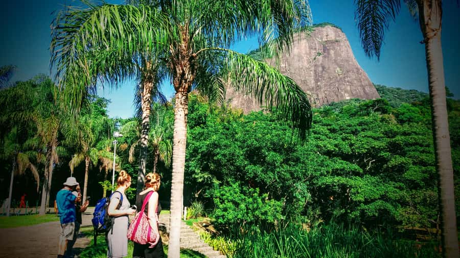 Rio de Janeiro Nature Secrets 'The Eco Citytour' - Why this eco tour gives you a different Rio