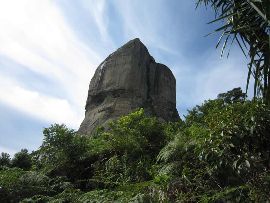 Rio de Janeiro: Pedra da Gavea Adventure Hike - Who will enjoy this hike most