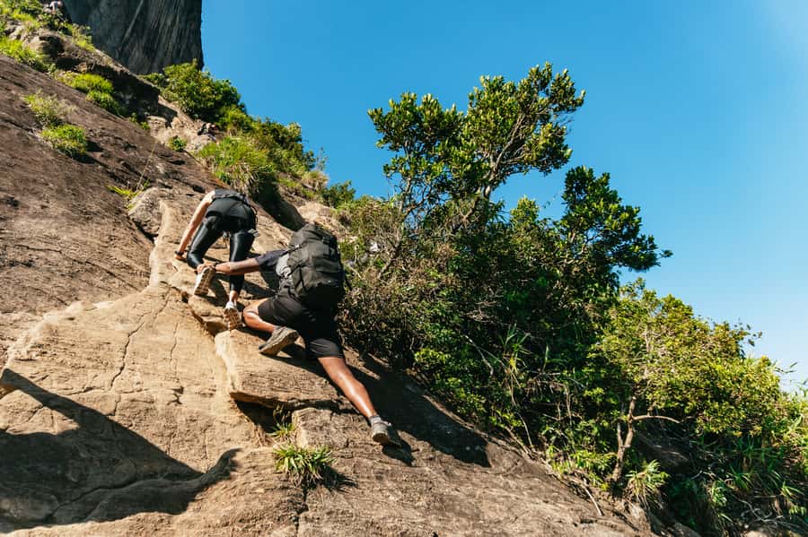 Rio de Janeiro: Pedra da Gávea Guided Hike Tour - Walking through Tijuca’s Atlantic Forest
