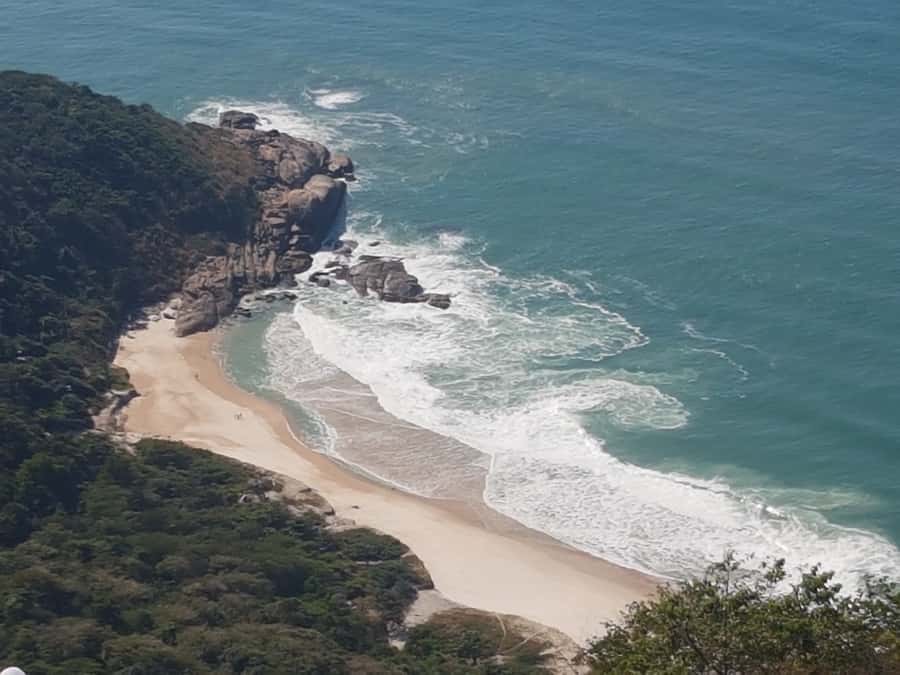 Rio de Janeiro: Pedra do Telegrafo Hike & Grumari Beach Tour - Should you book Pedra do Telegrafo and Grumari?