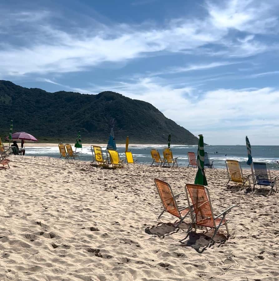 Rio de Janeiro: Pedra do Telégrafo trail and beach stop - The forest route and its moderate 2-kilometer climb