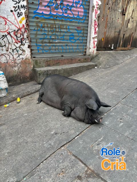 Rio de Janeiro: Rocinha Favela guided tour - The first ride into Rocinha