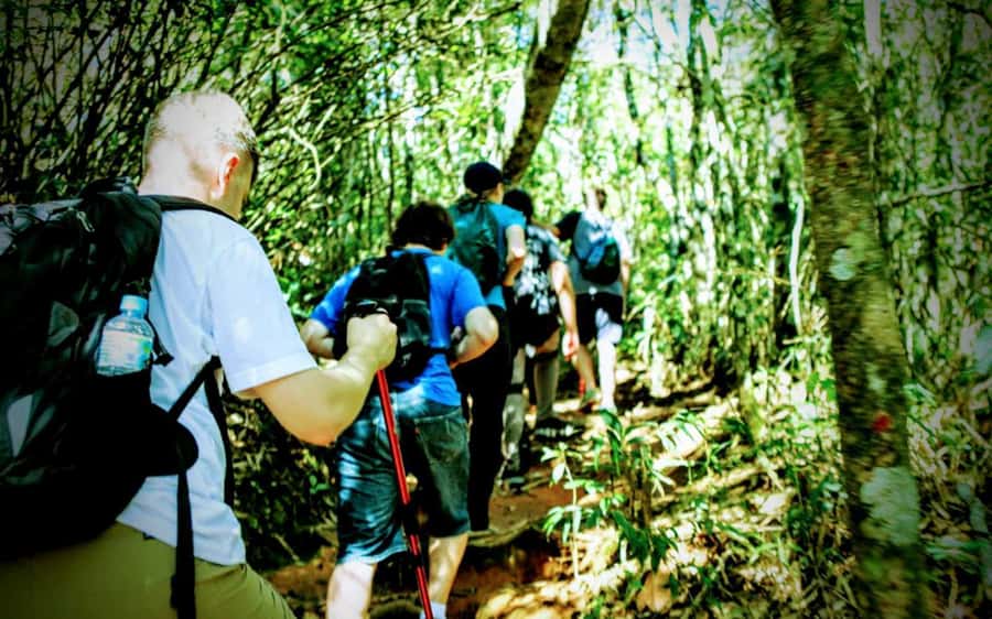 Rio de Janeiro: Tijuca Forest Challenge Hike Full-Day Trip - Vista Chinesa on working days