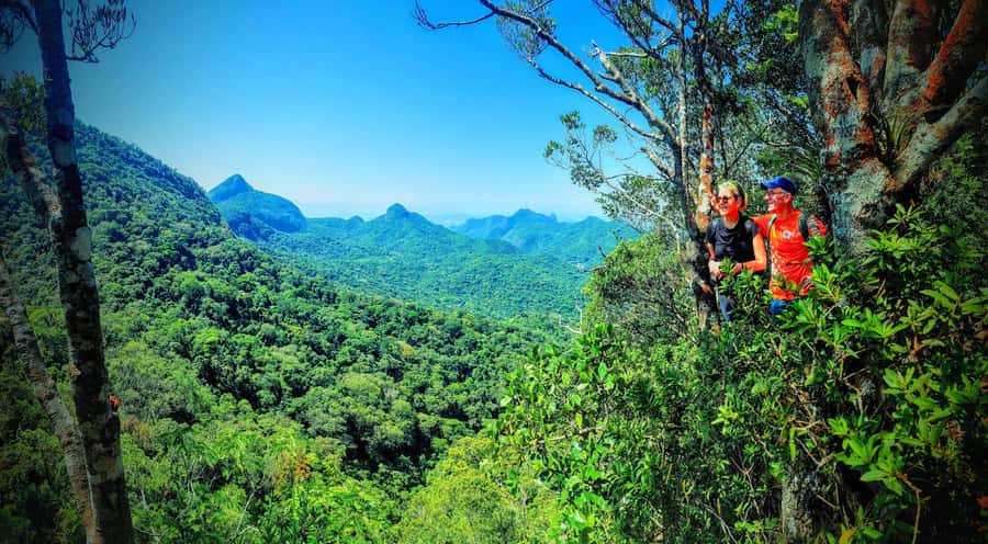 Rio de Janeiro: Tijuca Forest Challenge Hike Full-Day Trip - The main climb to Taquara Hill