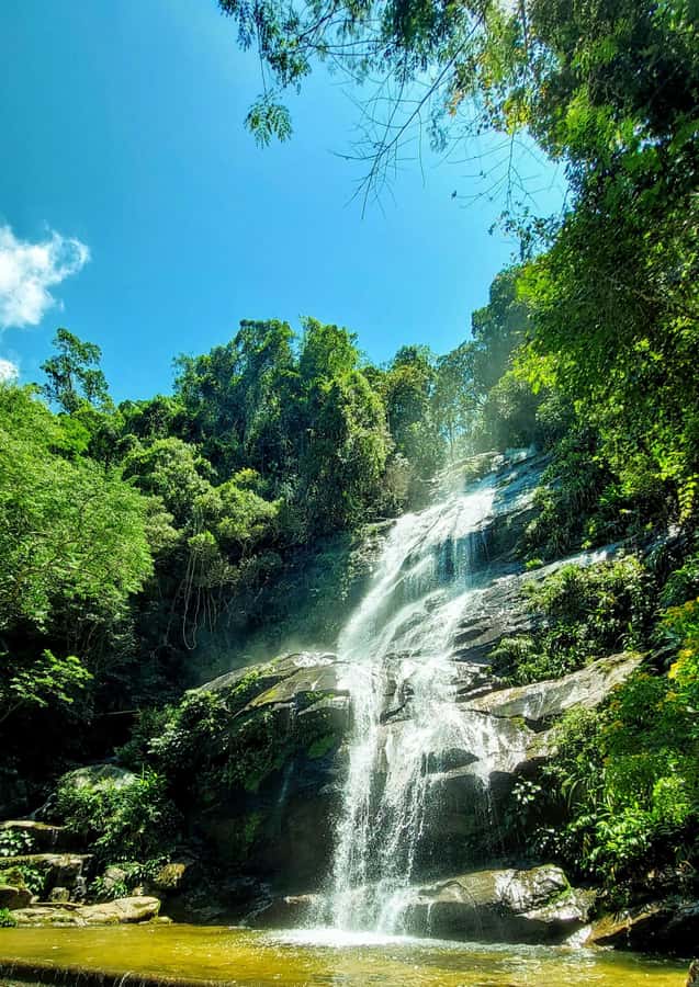 Rio de Janeiro: Tijuca Forest Challenge Hike Full-Day Trip - Two viewpoints, two different rewards