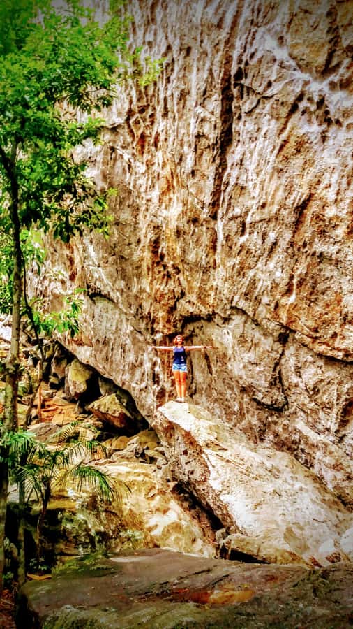 Rio de Janeiro: Tijuca Forest Challenge Hike Full-Day Trip - Grottos, the Bat Cave, and a real rainforest feel