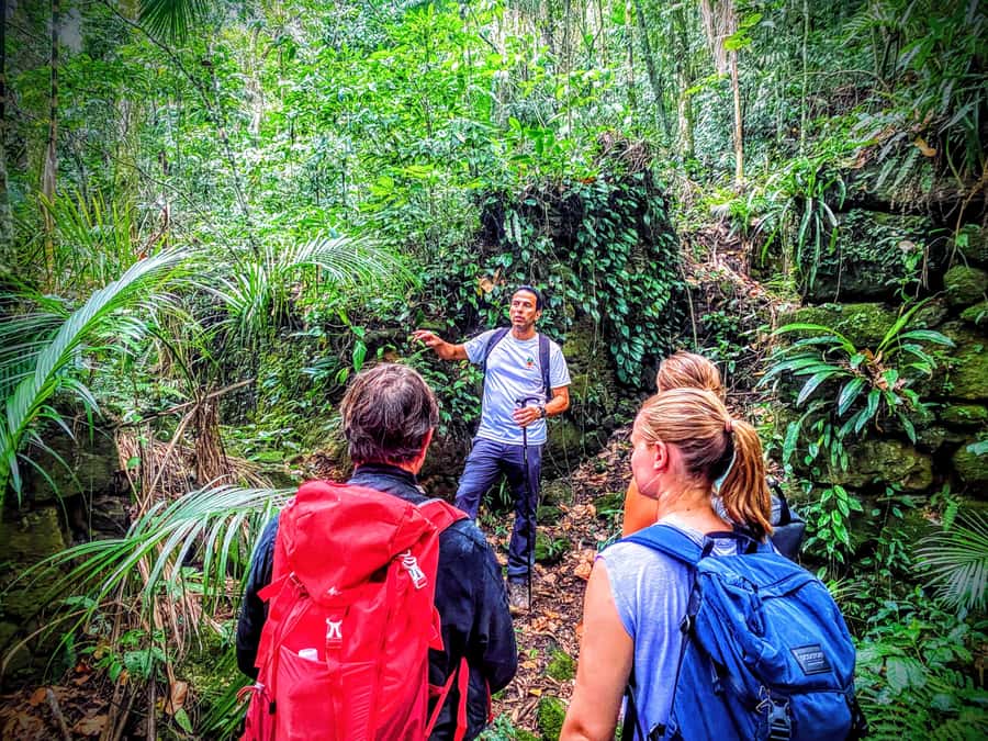 Rio de Janeiro: Tijuca Forest Challenge Hike Full-Day Trip - Cascata da Baronesa and the best kind of finish