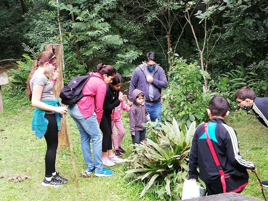 Rio de Janeiro: Tijuca Forest Waterfall of Souls Hike - Key points at a glance