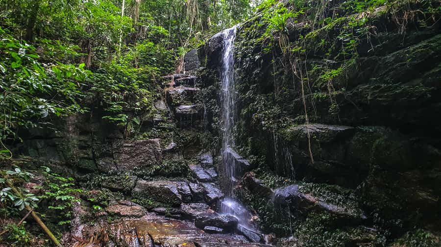 Rio de Janeiro: Tijuca Forest Waterfall of Souls Hike - What this Tijuca Forest experience is really about