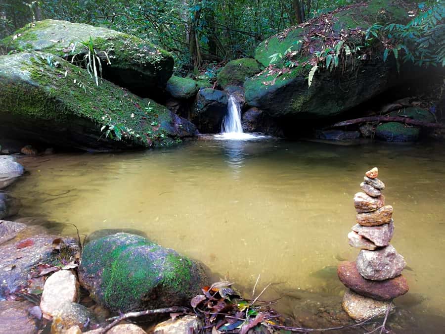 Rio de Janeiro: Tijuca Forest Waterfall of Souls Hike - The first stream and the forest’s small creatures