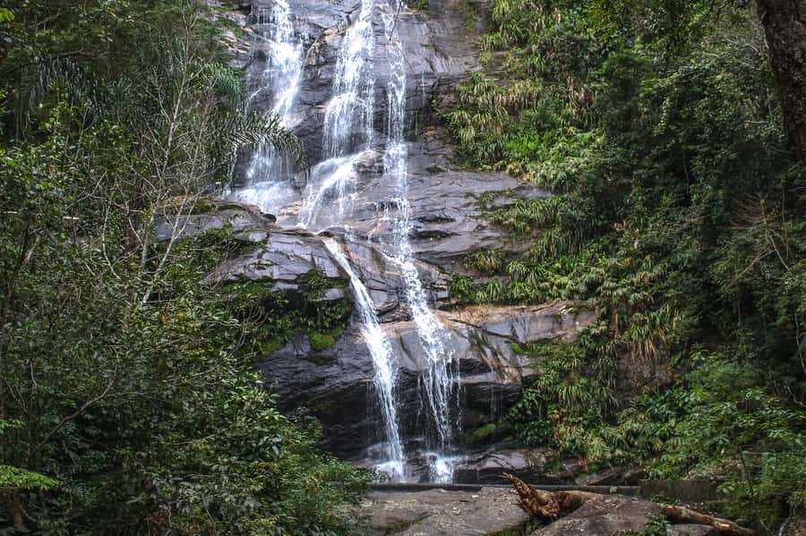 Rio de Janeiro: Tijuca Forest Waterfall of Souls Hike - Beginning at the park gate and heading uphill