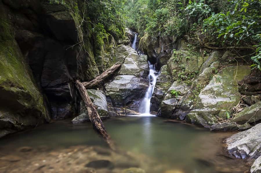 Rio de Janeiro: Tijuca National Park & Botanic Garden Tour - Key points to know before booking