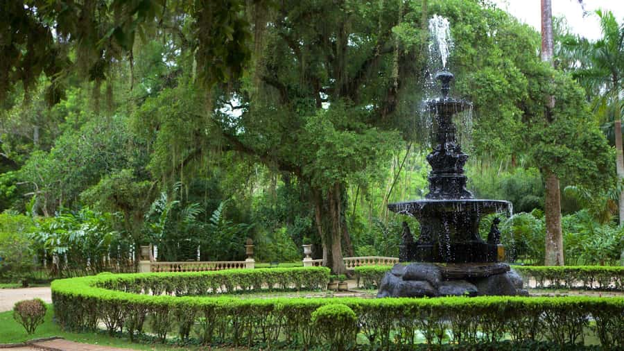 Rio de Janeiro: Tijuca National Park & Botanic Garden Tour - Who should book this experience