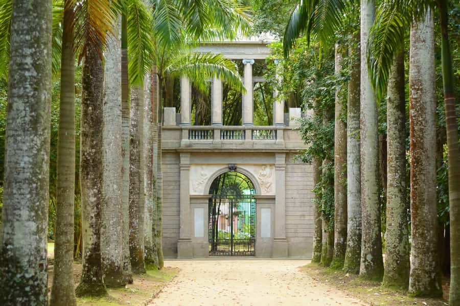 Rio de Janeiro: Tijuca National Park & Botanic Garden Tour - Why this Rio tour works