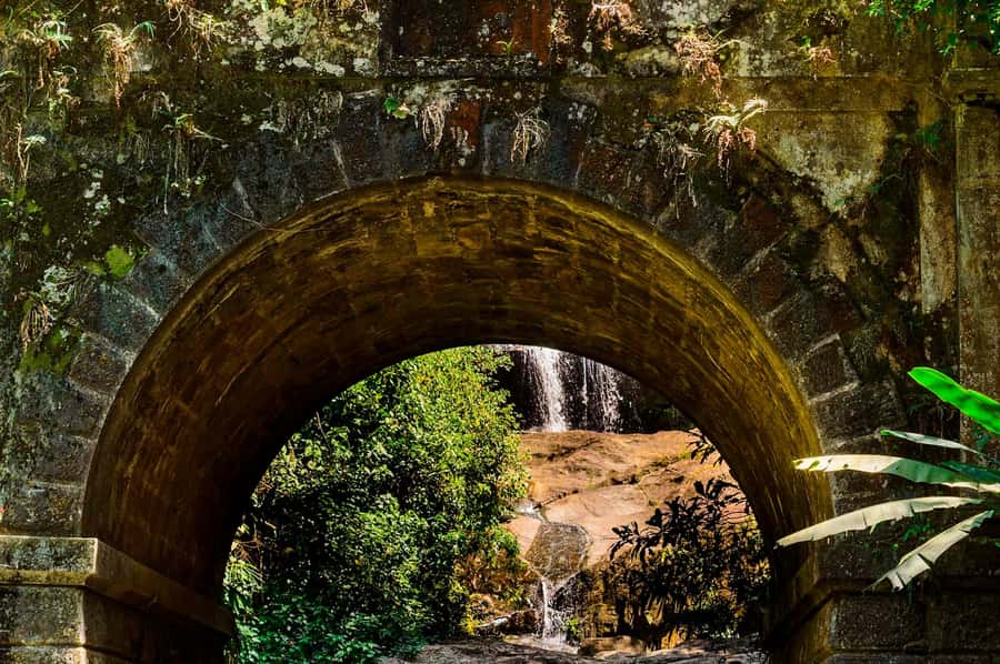 Rio de Janeiro: Tijuca National Park & Botanic Garden Tour - Taunay Waterfall and Mayrink Chapel