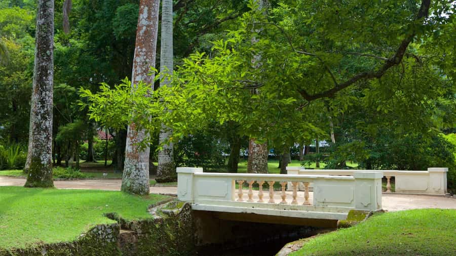 Rio de Janeiro: Tijuca National Park & Botanic Garden Tour - What happens if Tijuca National Park is closed