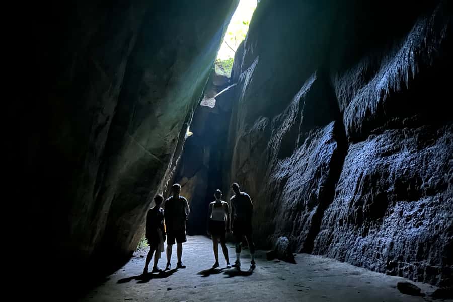 Rio de Janeiro: Tijuca National Park Tour - Wildlife is a bonus, not the main promise