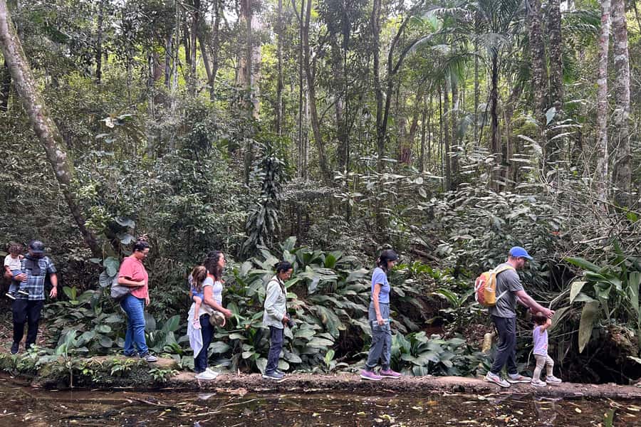 Rio de Janeiro: Tijuca National Park Tour - Why Tijuca is one of Rio’s best city escapes