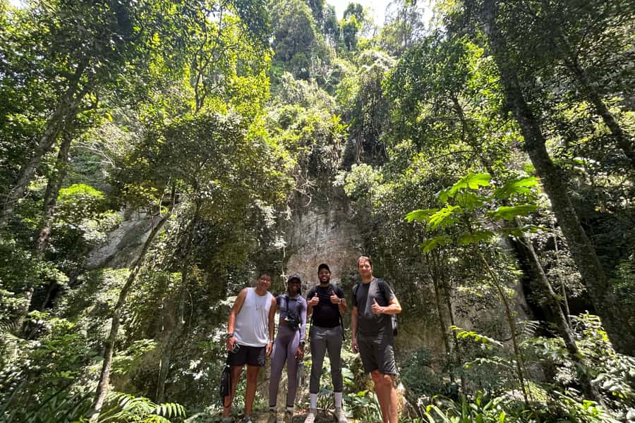 Rio de Janeiro: Tijuca National Park Tour - Cachoeira das Almas brings another waterfall and a possible swim
