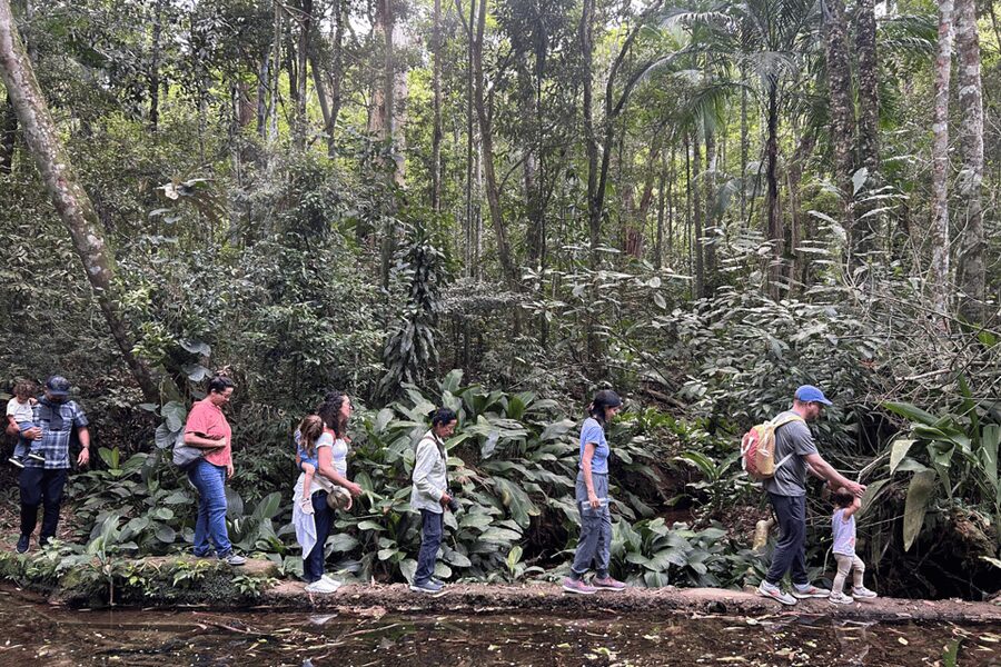 Rio de Janeiro: Tijuca National Park Tour - The hike is easy for many people, but not effortless