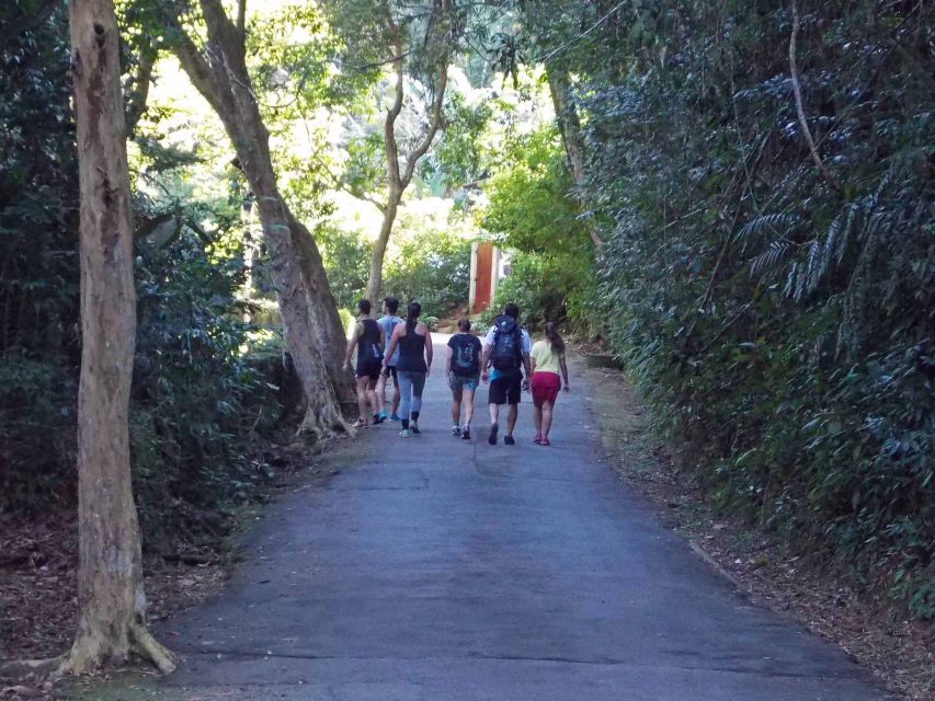 Rio de Janeiro: Tijuca Peak Guided Hike - Tijuca Mirim and the rock staircase