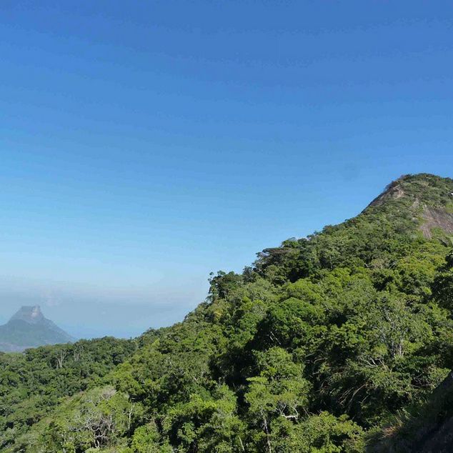 Rio de Janeiro: Tijuca Peak Guided Hike - Is $56 a fair price?