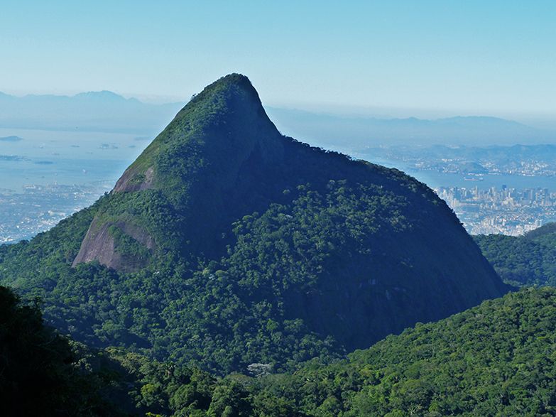 Rio de Janeiro: Tijuca Peak Guided Hike - Entering Tijuca National Park