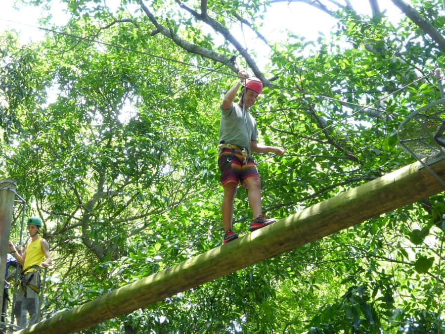 Rio de Janeiro: Zip Lining and Canopy Tree Tour - Catacumba, a quick forest break from Rio