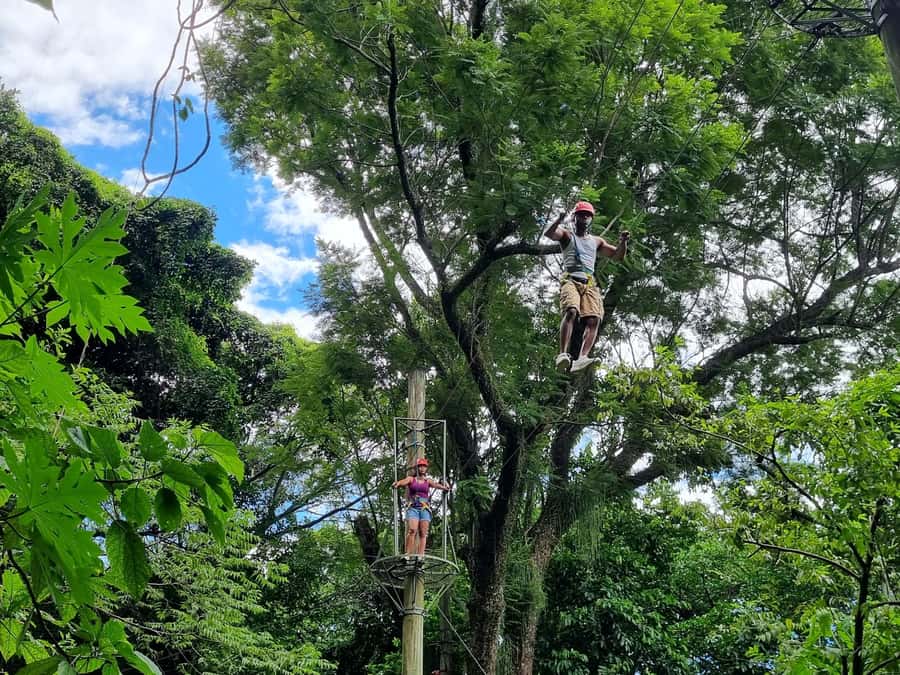 Rio de Janeiro: Zip Lining and Canopy Tree Tour - Rock obstacles before the zip line
