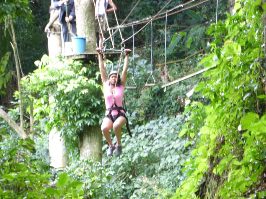 Rio de Janeiro: Zip Lining and Canopy Tree Tour - Booking details that affect your day