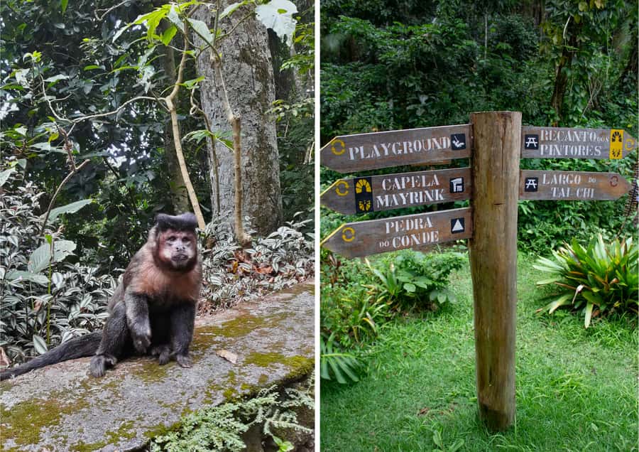 Rio: Half-Day Jeep Tour at Floresta da Tijuca - Mayrink Chapel and the short walks