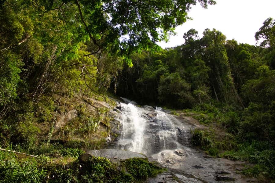Rio: Half-Day Jeep Tour at Floresta da Tijuca - Listening to the Atlantic forest