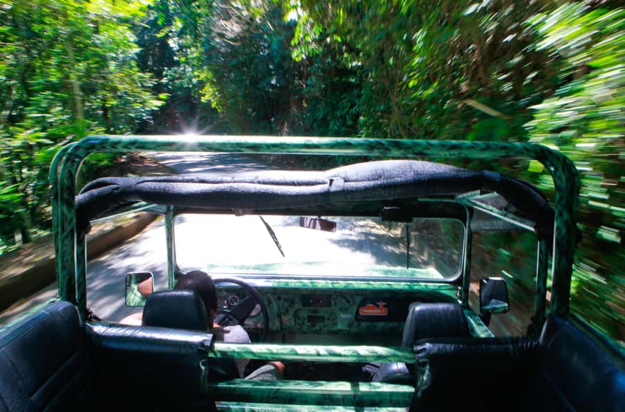 Rio: Half-Day Jeep Tour at Floresta da Tijuca - São Conrado and the hand-gliders